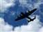 Flying again_W.JPG