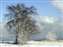 After the Storm_W.jpg