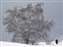 Snowstorm_W.jpg