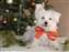 Christmas Portrait_W.jpg
