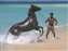 Black Stallion_W.jpg