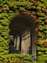 Cemetery_W.jpg