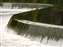 Dam_w.jpg