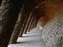Gaudis Columns_W.jpg